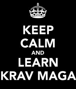learn-krav-maga-carlsbad-martial-arts