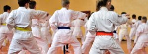 cali-karate-vista-ca-global-martial-arts