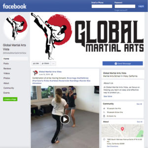 global martial arts vista