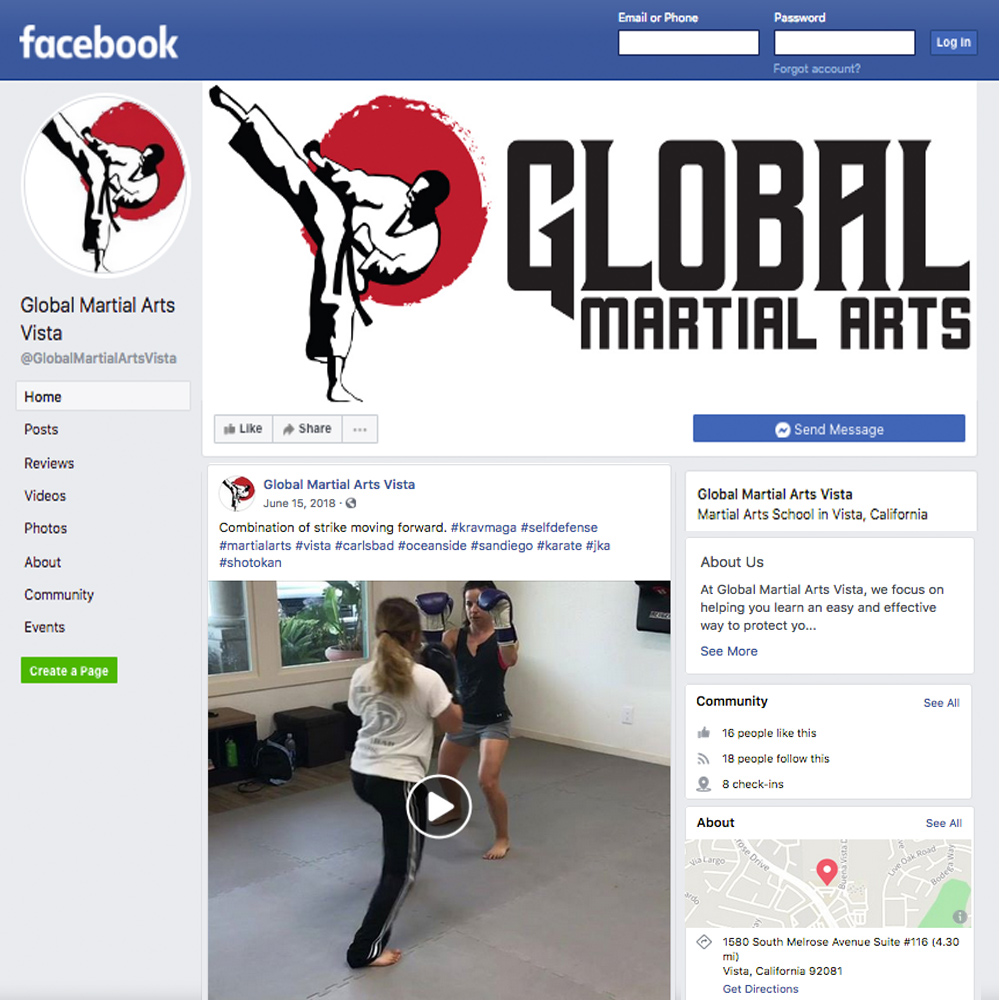 global martial arts vista